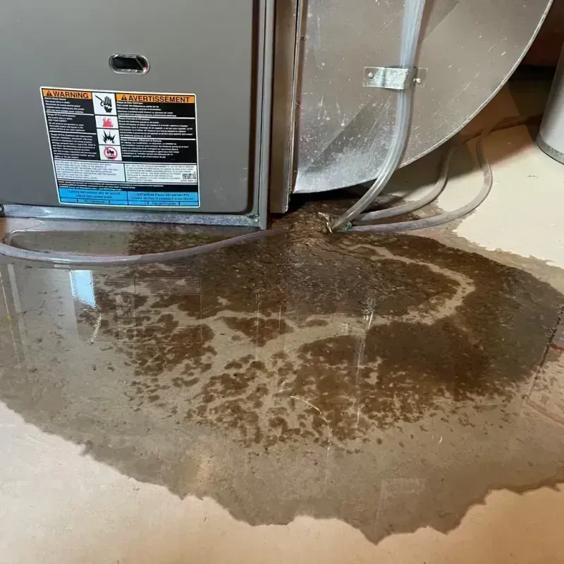 Appliance Leak Cleanup in Burlington, CO